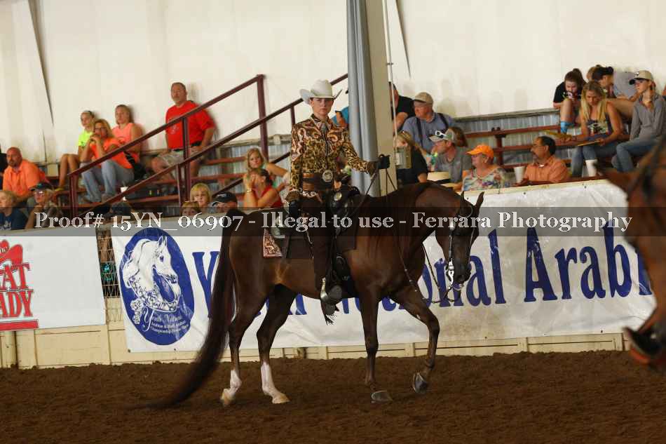 Proof 15YN_06907