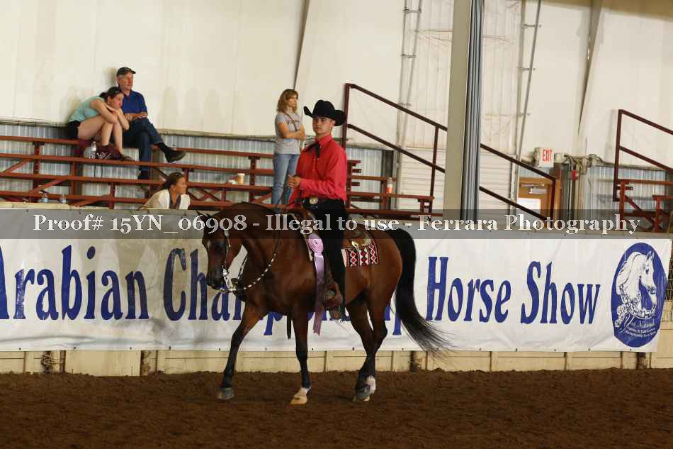 Proof 15YN_06908