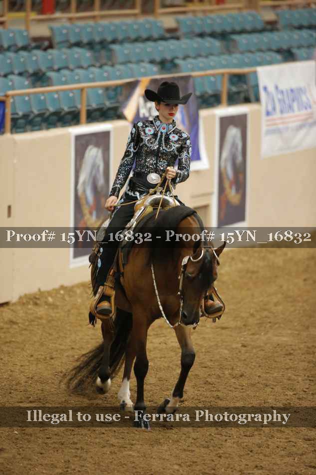 Proof 15YN_16832