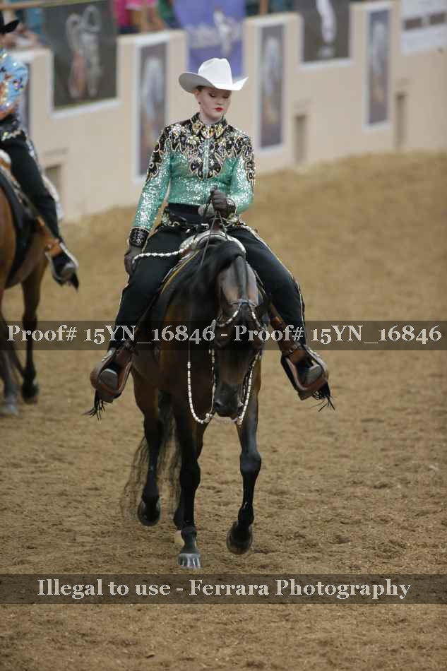 Proof 15YN_16846