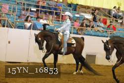 15YN_16853 proof