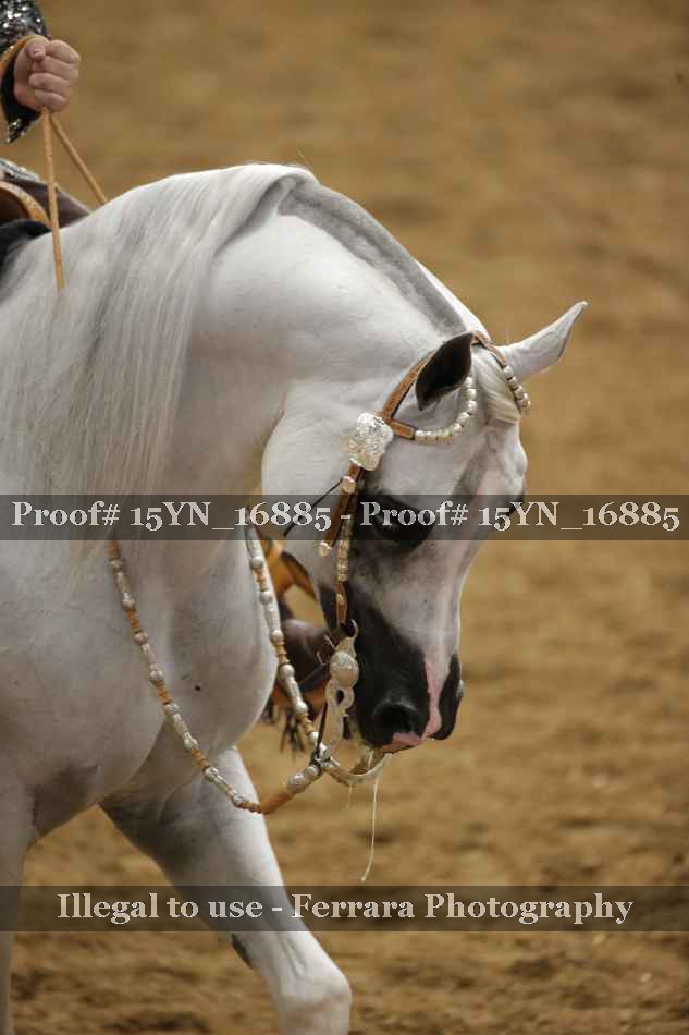 Proof 15YN_16885