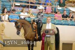 15YN_16894 proof
