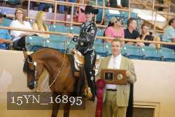 15YN_16895 proof