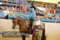 15YN_16899 proof
