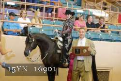 15YN_16901 proof