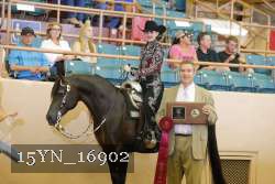 15YN_16902 proof