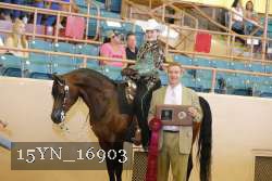 15YN_16903 proof