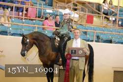 15YN_16904 proof