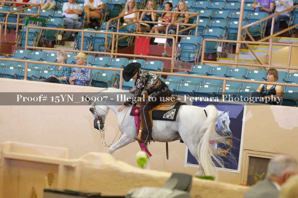 Proof 15YN_16907