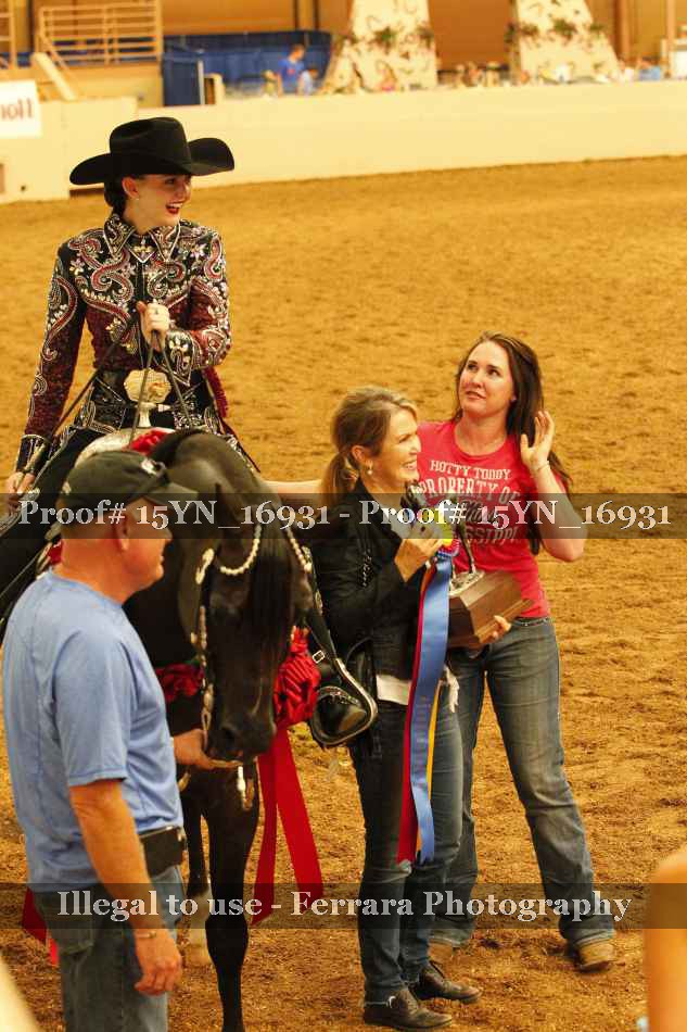Proof 15YN_16931
