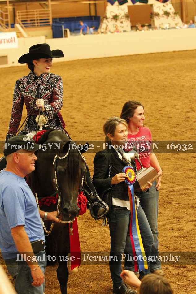 Proof 15YN_16932
