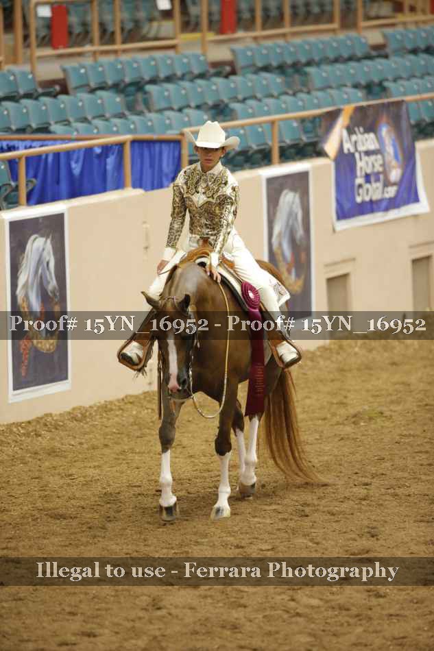 Proof 15YN_16952