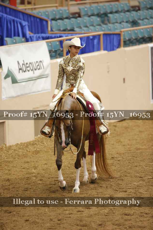 Proof 15YN_16953