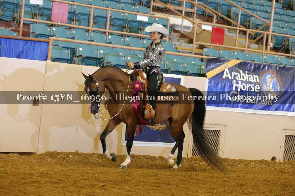 Proof 15YN_16956