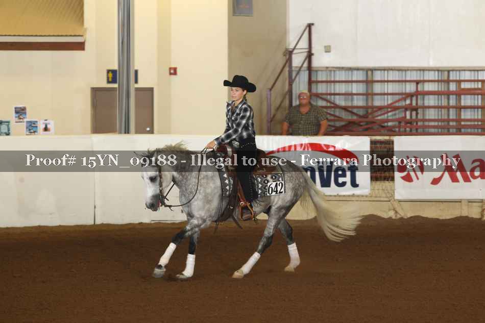 Proof 15YN_09188