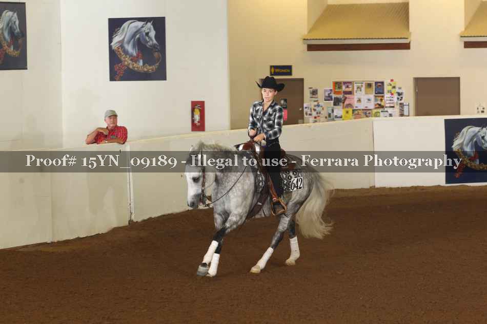 Proof 15YN_09189