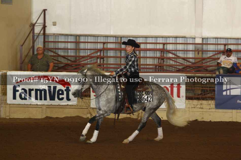 Proof 15YN_09190