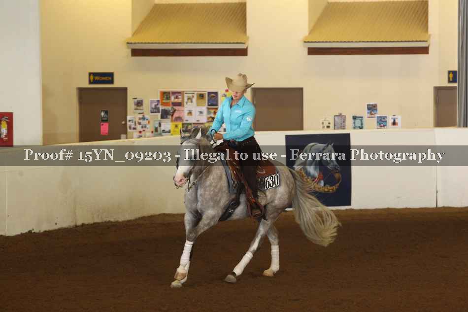 Proof 15YN_09203