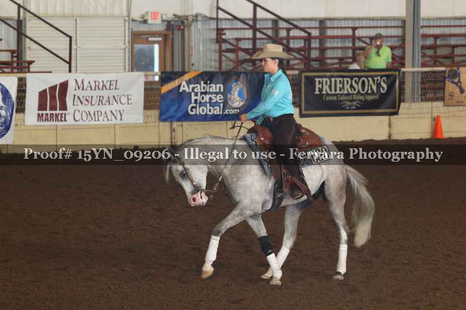 Proof 15YN_09206