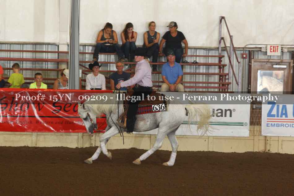 Proof 15YN_09209