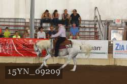15YN_09209 proof