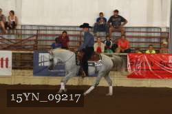 15YN_09217 proof