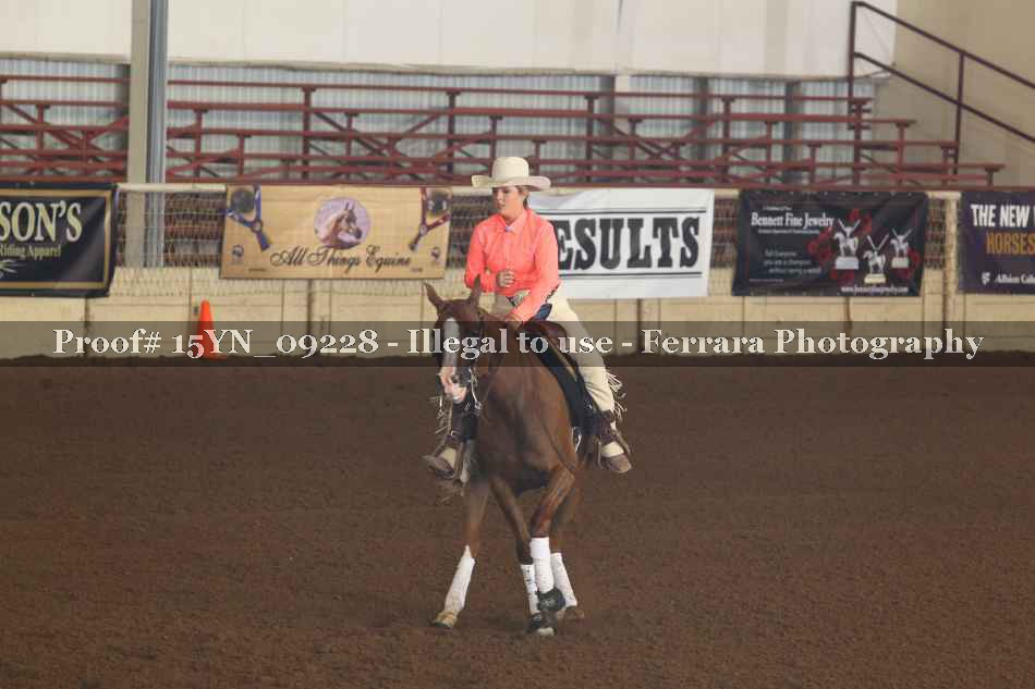 Proof 15YN_09228
