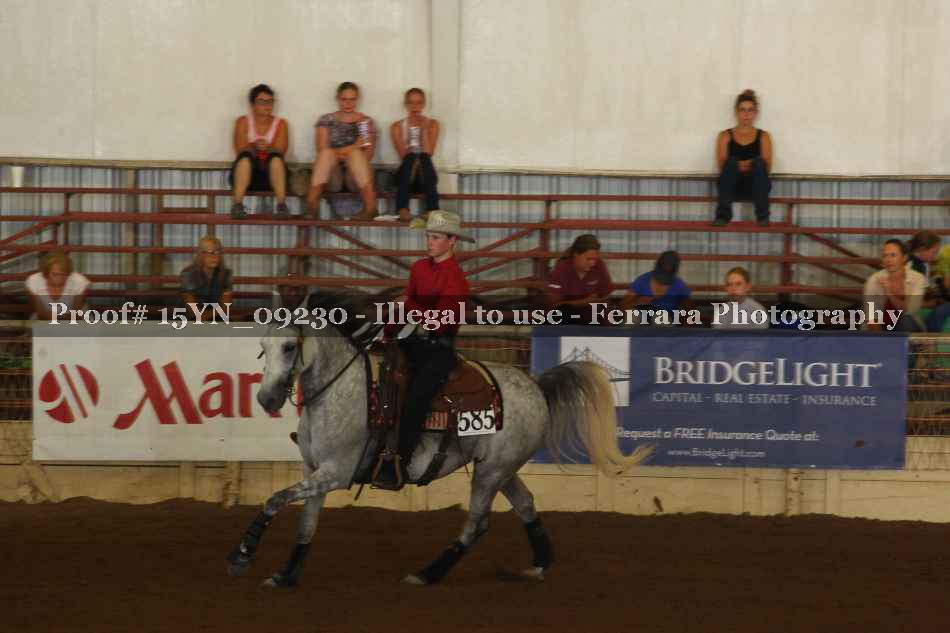 Proof 15YN_09230