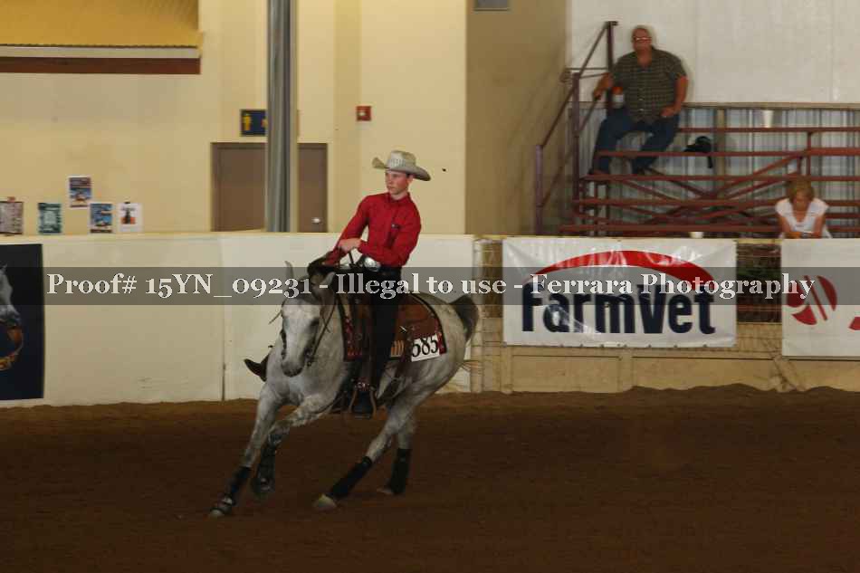 Proof 15YN_09231