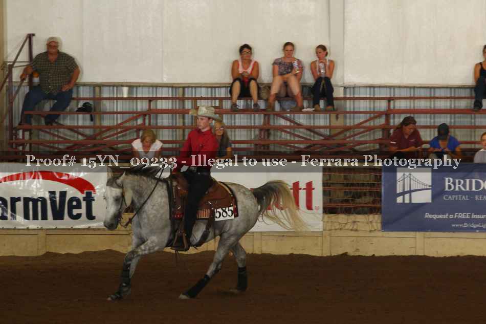 Proof 15YN_09233