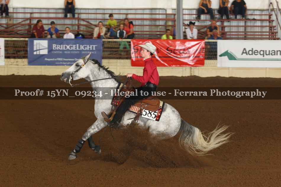 Proof 15YN_09234