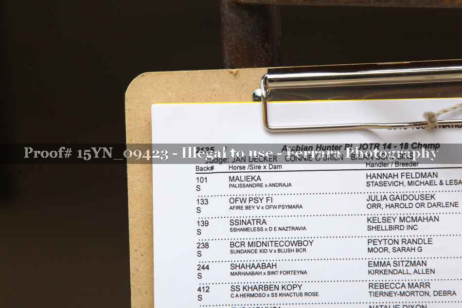 Proof 15YN_09423