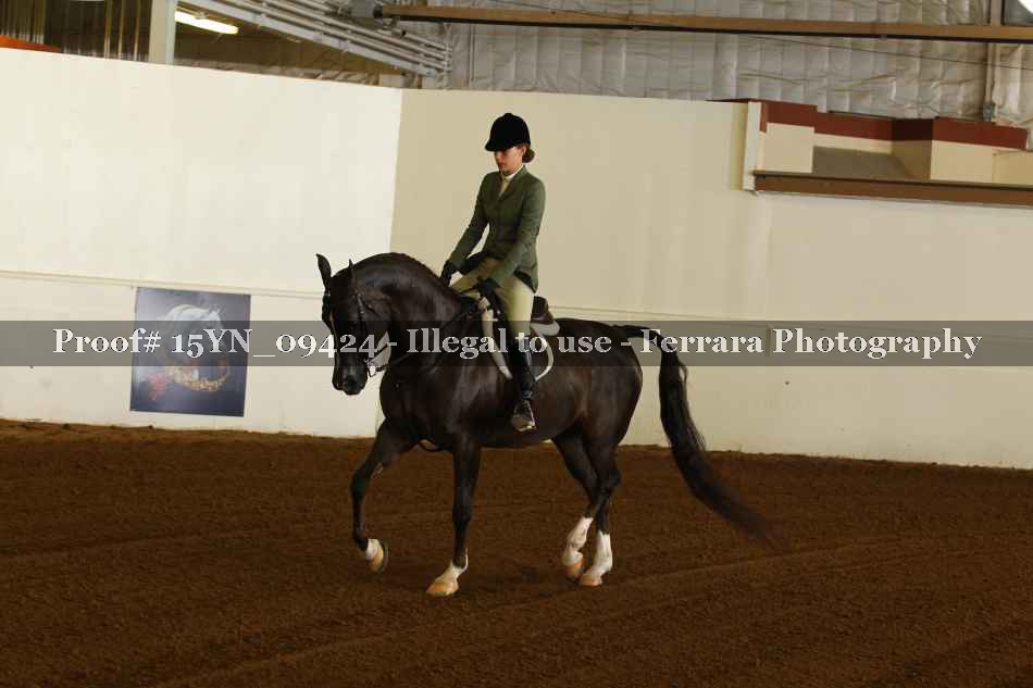 Proof 15YN_09424