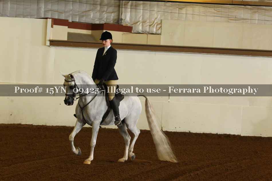 Proof 15YN_09425