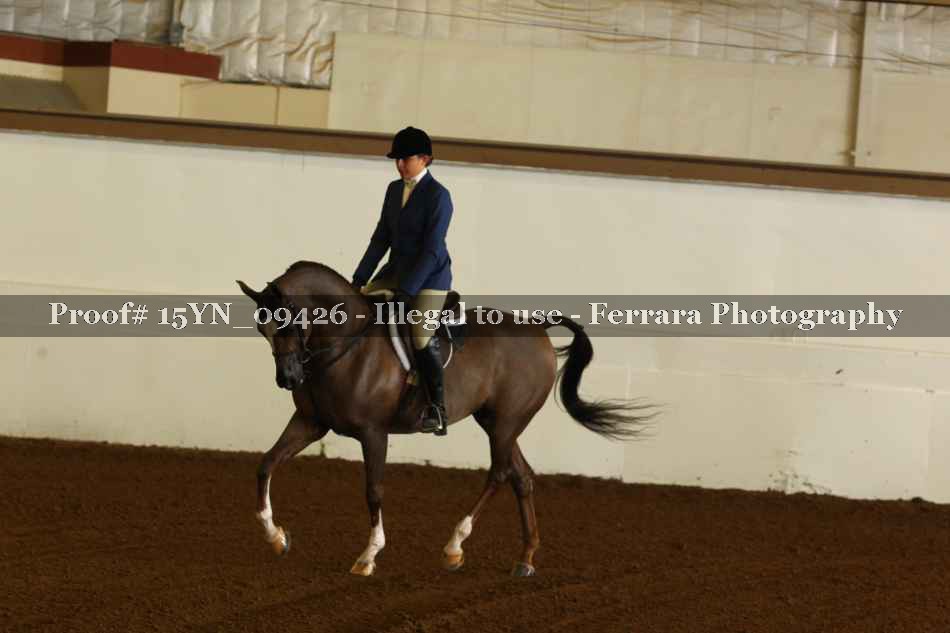 Proof 15YN_09426