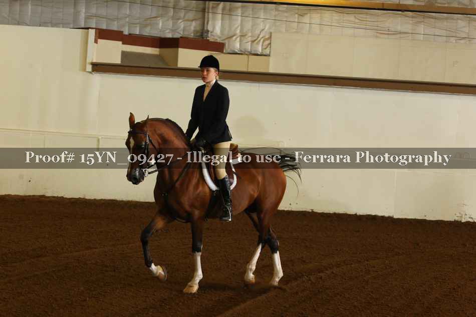 Proof 15YN_09427