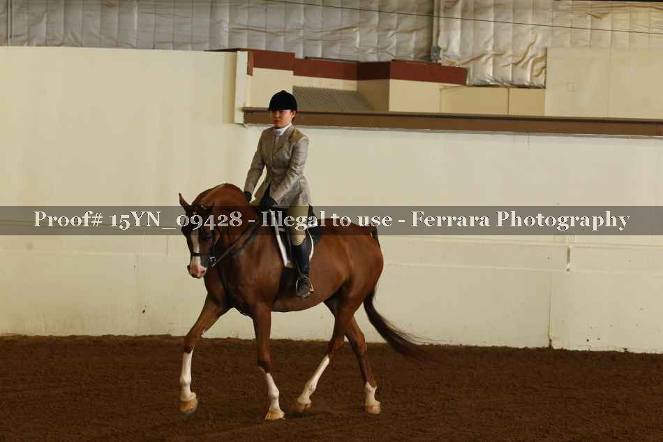 Proof 15YN_09428