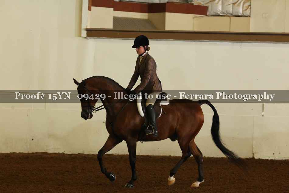 Proof 15YN_09429