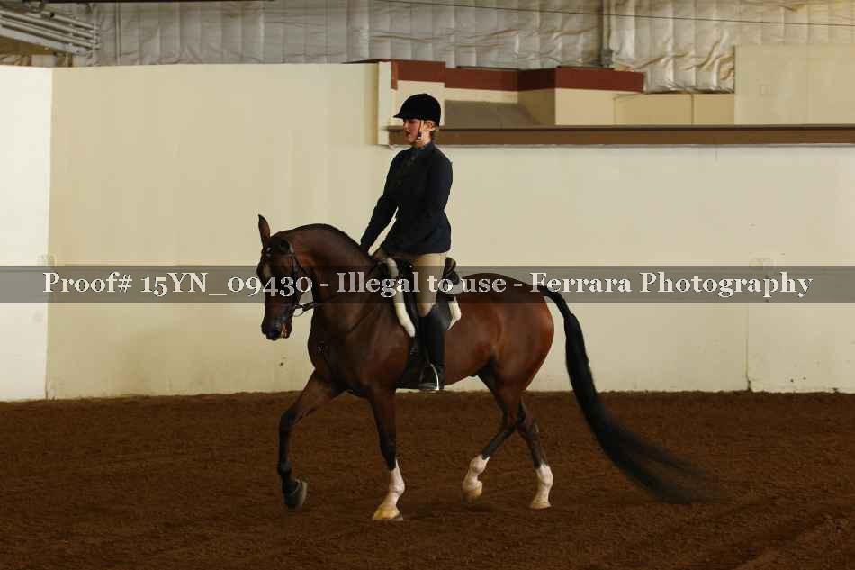 Proof 15YN_09430