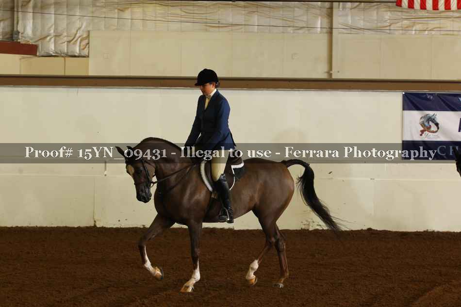Proof 15YN_09431