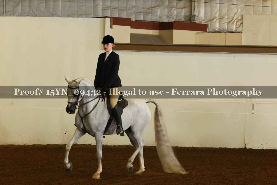 Proof 15YN_09432