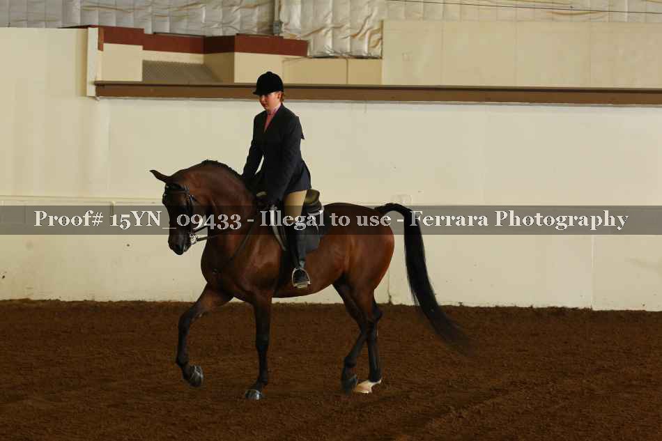 Proof 15YN_09433