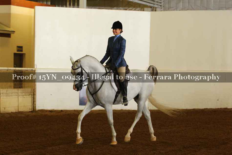 Proof 15YN_09434