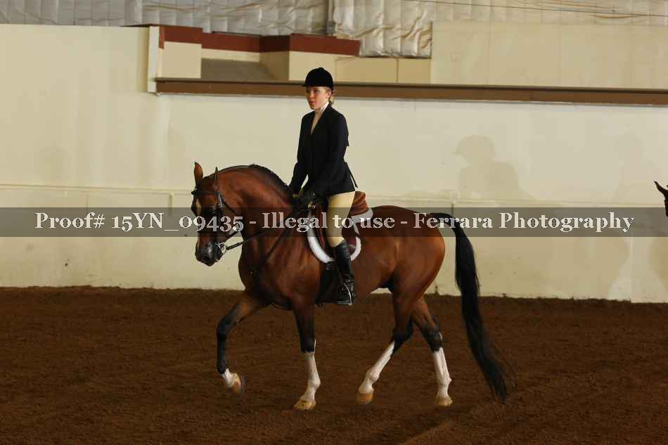 Proof 15YN_09435