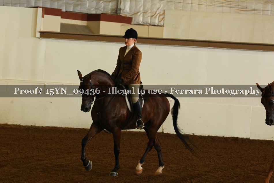 Proof 15YN_09436