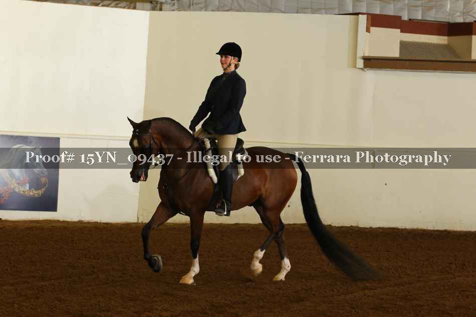 Proof 15YN_09437