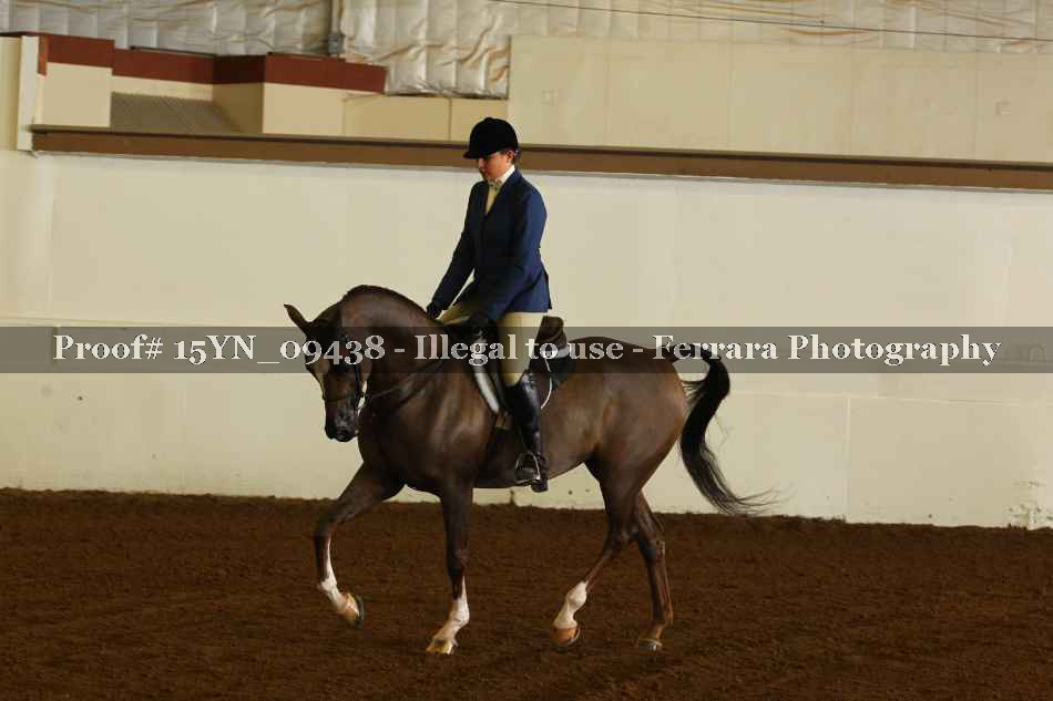 Proof 15YN_09438
