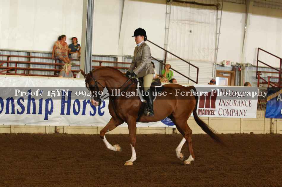 Proof 15YN_09439