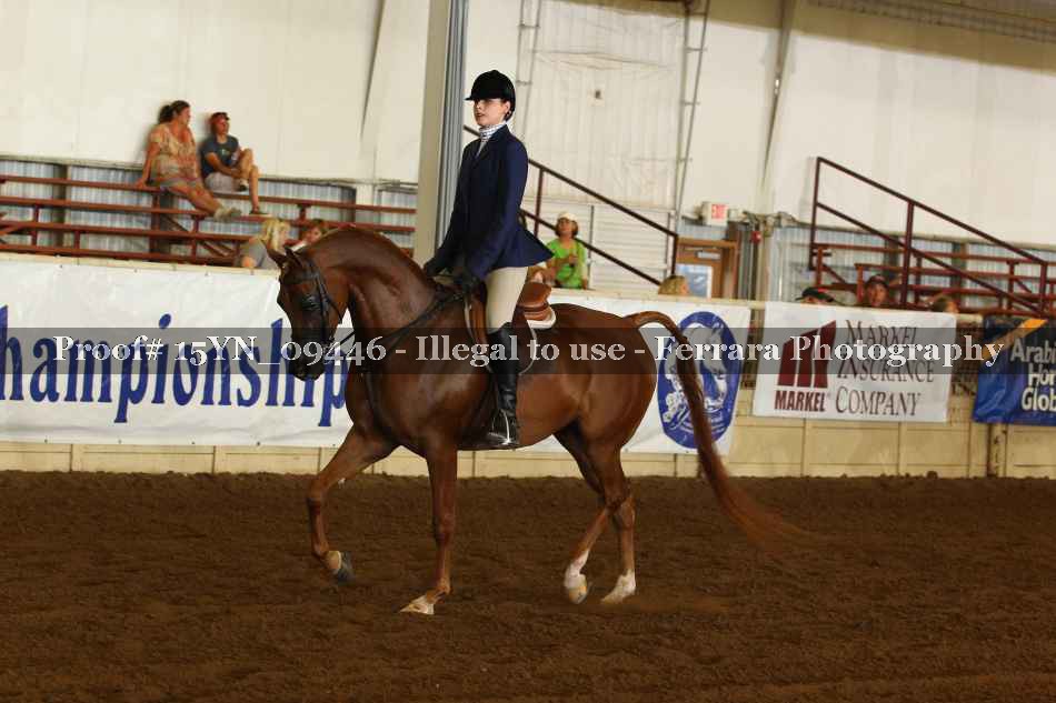 Proof 15YN_09446